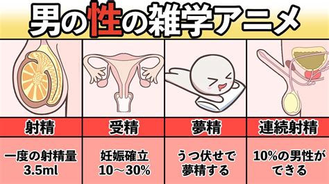 夢精 割合|夢精入門｜病気ではない？メカニズムと原因、対処法などを解